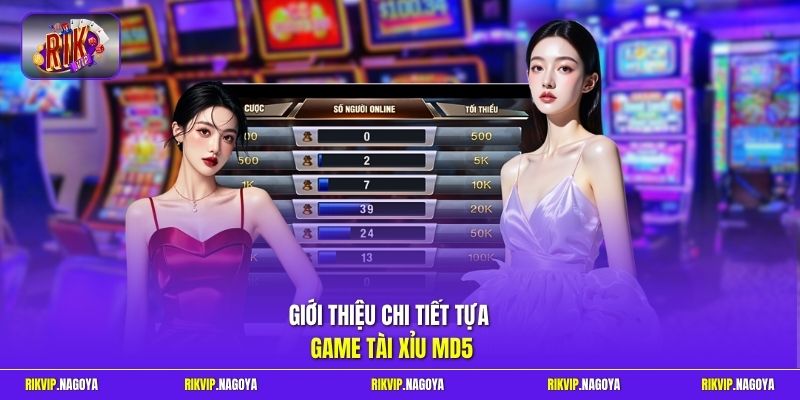 Giới thiệu chi tiết tựa game tài xỉu MD5