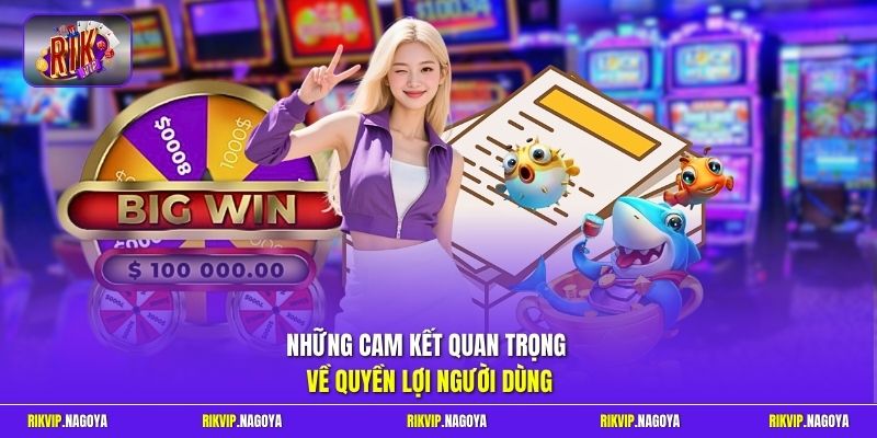 Những cam kết quan trọng về quyền lợi người dùng