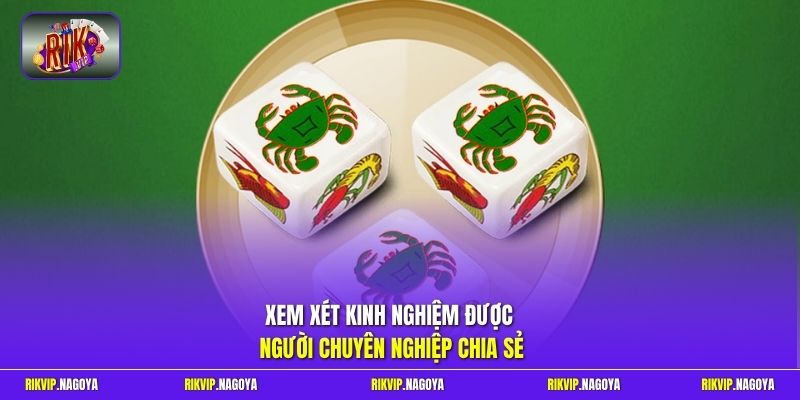 Xem xét kinh nghiệm được người chuyên nghiệp chia sẻ